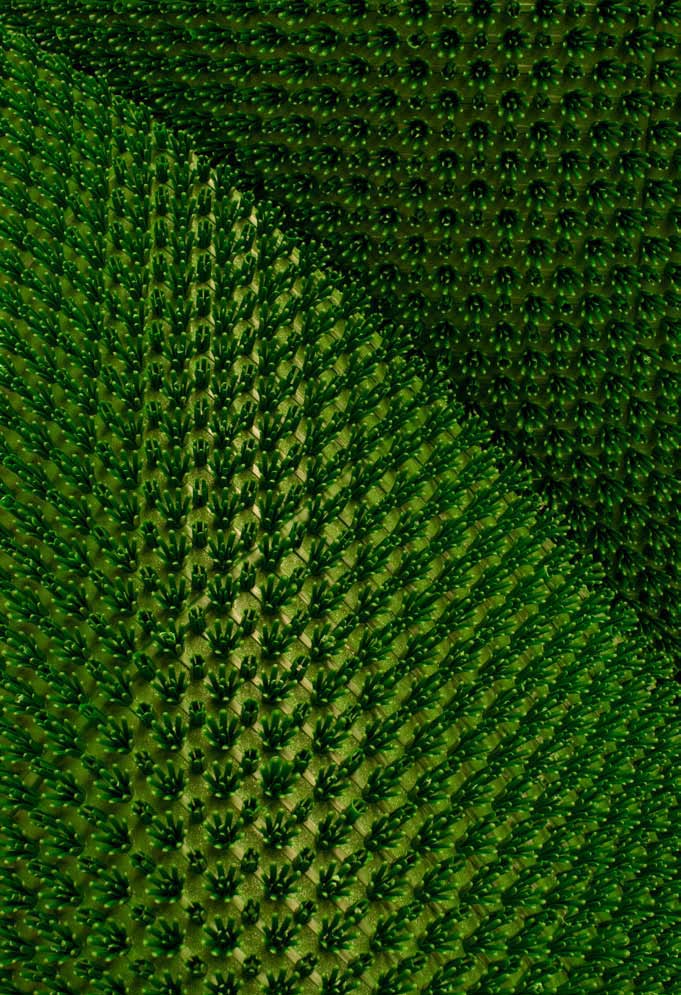 Kājslauķi Grass Mat Rolls