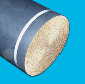 Coir Matt kokosa šķiedras paklājs, durvju paklājs
